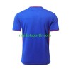 Maillot de Foot France Domicile UEFA Euro 2024
